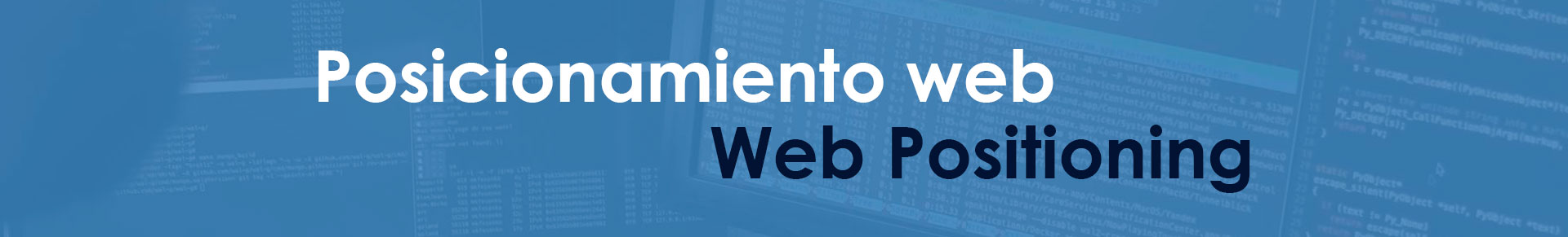 Posicionamiento web