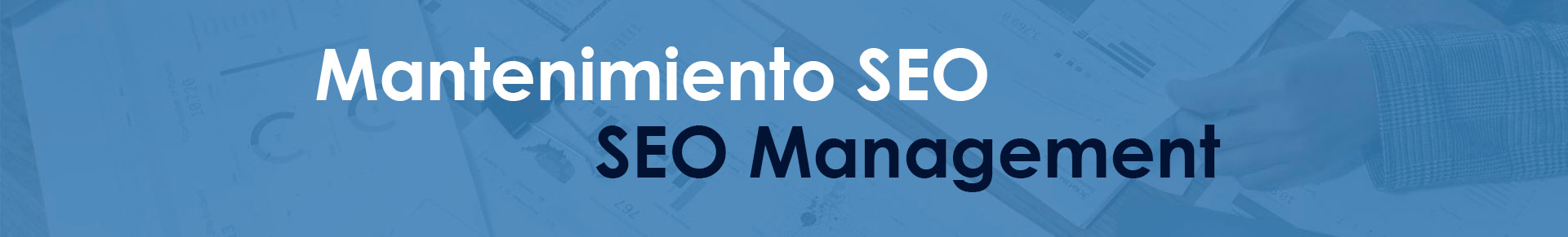 Mantenimiento SEO